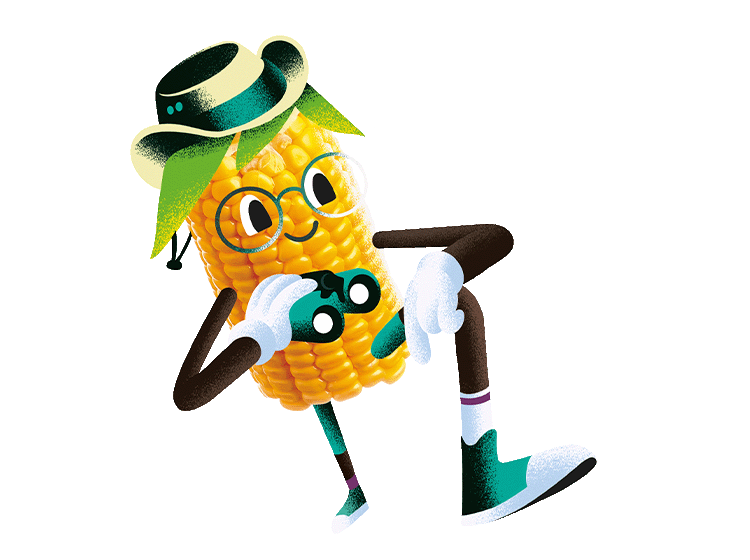 Corn decorative with shoe and hat